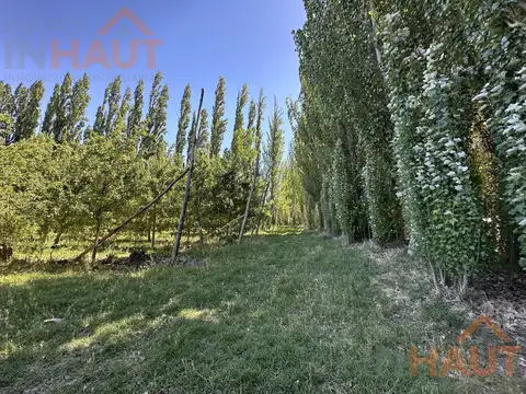 Terreno en Venta de 100000,0 m2