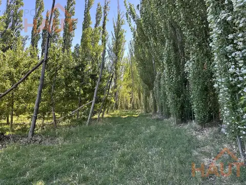 Terreno en Venta en Plottier, USD 1.500.000