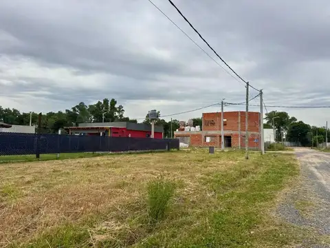 Guadalupe Cuenca-petion Chico