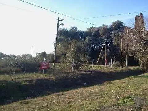 Calle 425 Lote 10