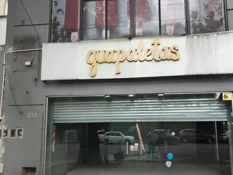 AVENIDA PEDRO GOYENA 300