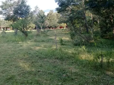 Terreno en Venta en Las Calles, San Alberto