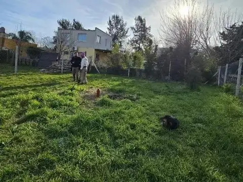 Diagonal 430 e/ 137 y 138