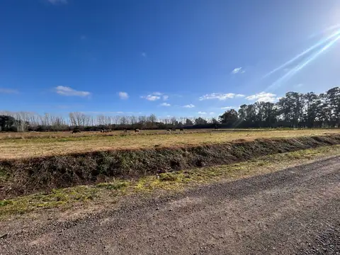 Terreno en Venta de 1054,0 m2