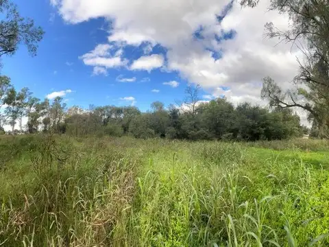 VENTA LOTE  RUTA 5 ANISACATE - 4805 M2. ESCRITURA