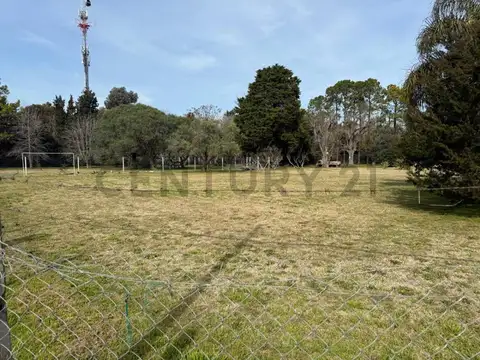 Quinta en Venta en Villa Elisa, USD 120.000