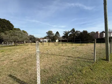 Quinta en Venta en Villa Elisa, USD 120.000