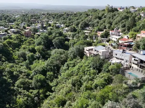 Los lapachos al 1000