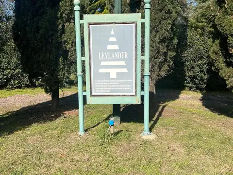 Barrio Leylander, Del Viso