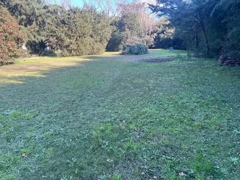 Terreno en Venta 60  mts Fondo