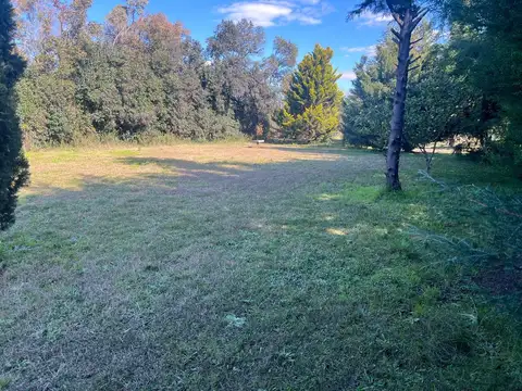 Barrio Leylander, Del Viso