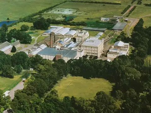 Ex planta frigorifica de 55000 m2 cubiertos sobre 2220 h