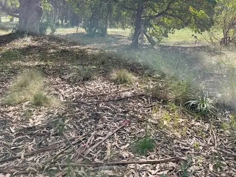 Terreno en Venta de 400,0 m2