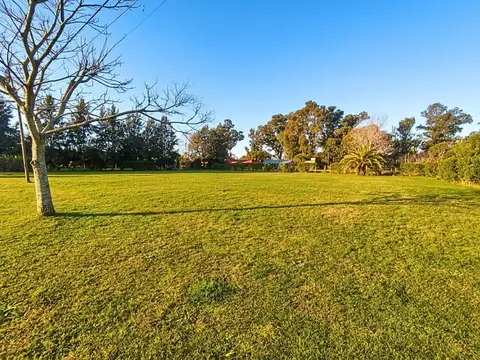 Terreno en Venta de 1000,0 m2