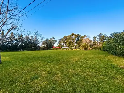 VENTA LOTE DE 1.000 MTS2, BARRIO CARQUEJA-VILLA GARIBALDI