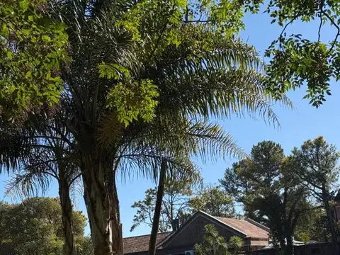 Terreno en Venta 22  mts Fondo