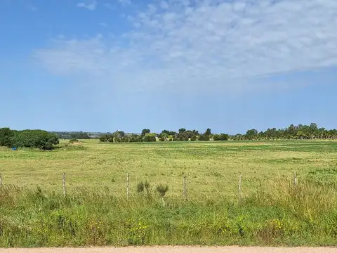 Venta campo 4,8 Há cercado y limpio próximo Pando