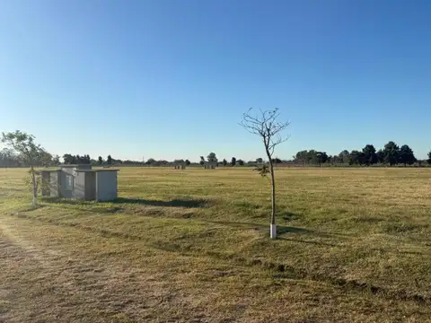 Puesto Viejo Ruta 6