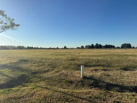 Puesto Viejo Ruta 6