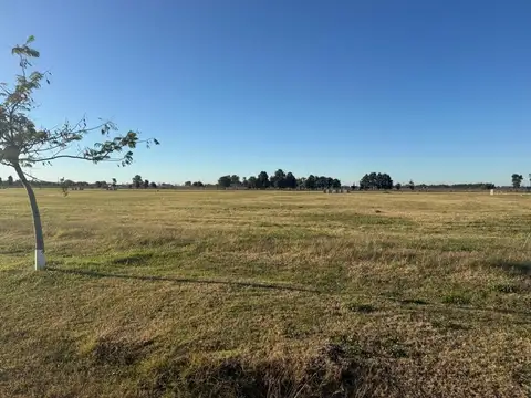 Terreno en Venta de 2176,0 m2