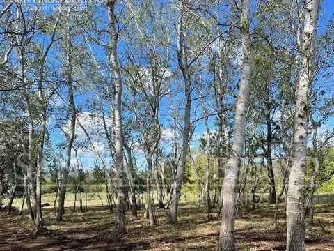 Terreno en Venta 50  mts Fondo