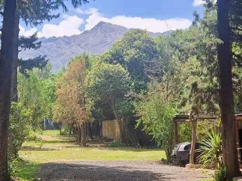Avenida libertad 100