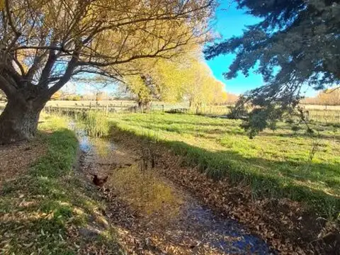 Campo en Venta en Gaiman, Chubut
