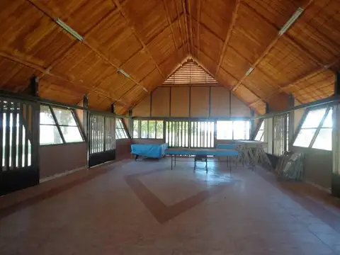 QUINTA DE 25has en VENTA, CASILDA