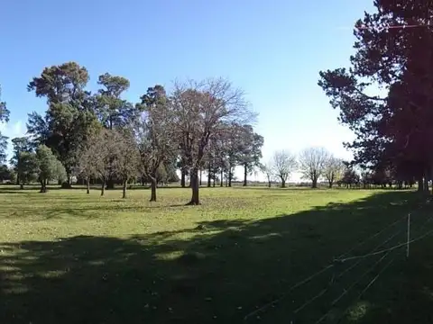 Quinta en Venta de 3 dormitorios