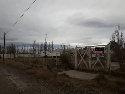 Tirso Lopez y  Juan De Dios Trevisan