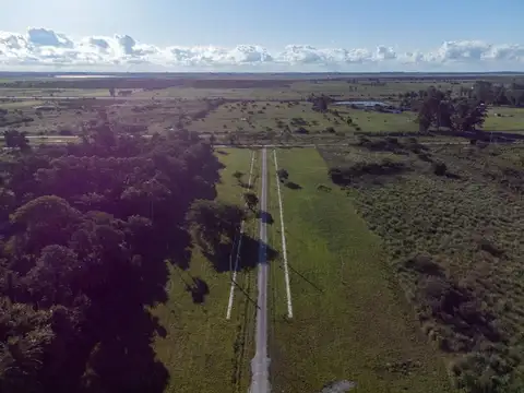Barrio Abierto Brisa Nativa