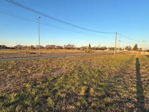 Terreno en Venta de 250,0 m2