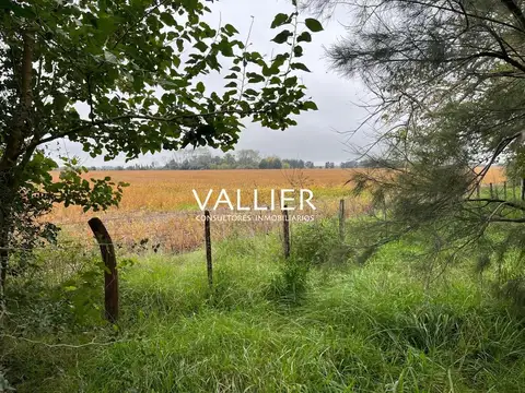 Terreno Campo  en Venta en Luján, G.B.A. Zona Oeste, Argentina