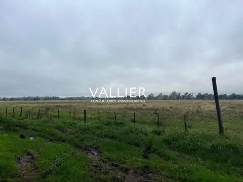Terreno Campo  en Venta en Luján, G.B.A. Zona Oeste, Argentina