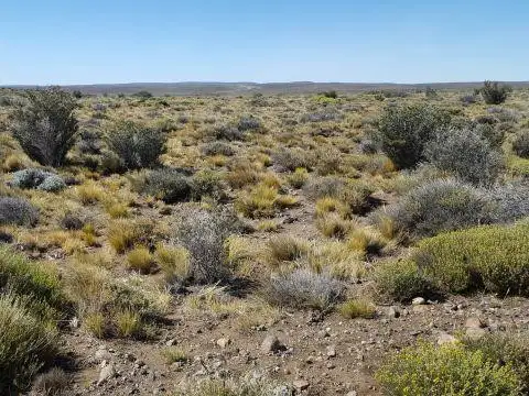 Campo en  Perito Moreno