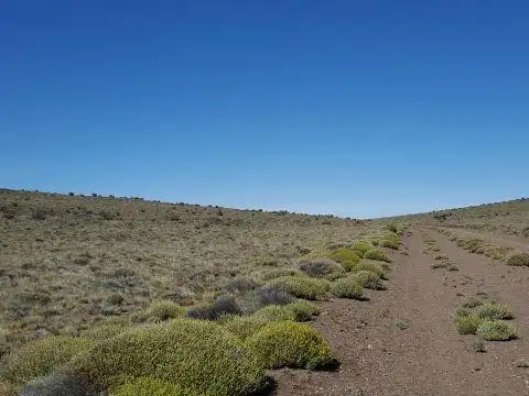Campo en  Perito Moreno