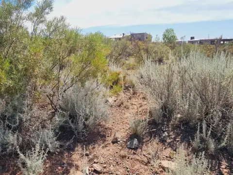 Terreno en Venta de 2000,0 m2