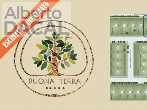 409/139 Y 141 BUONA TERRA