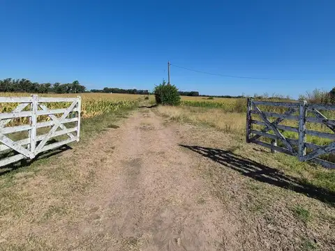 18 Has Agricola ,casa Ppal. , casa de  casero