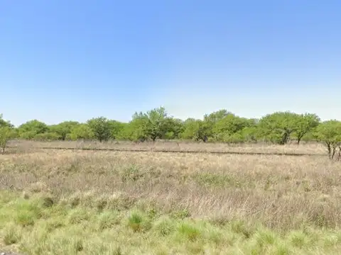 Campo en venta - 1.300 Hectáreas - San Luis