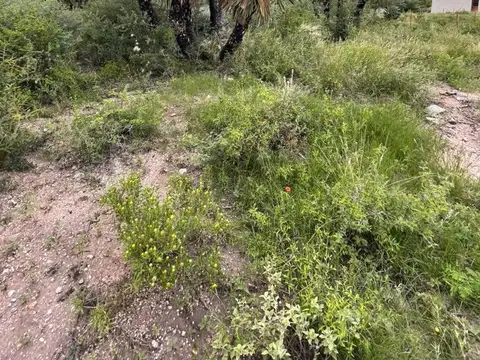 Terreno en Venta de 1500,0 m2