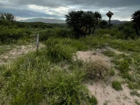 LOTE EN PAPAGAYOS EN VENTA