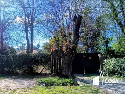 Espora al 4600 Funes