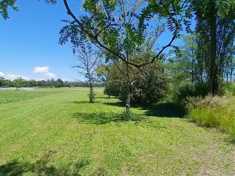 Terreno en Venta de 6899,0 m2