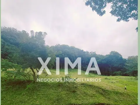 Los Zarzos
