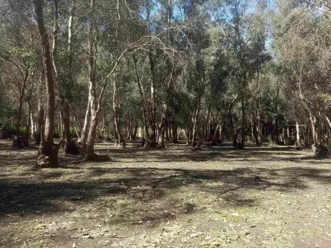 Terreno en Venta en San Miguel Del Monte, USD 46.900