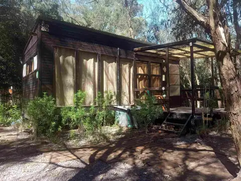 Gran Lote - Importante Forestación