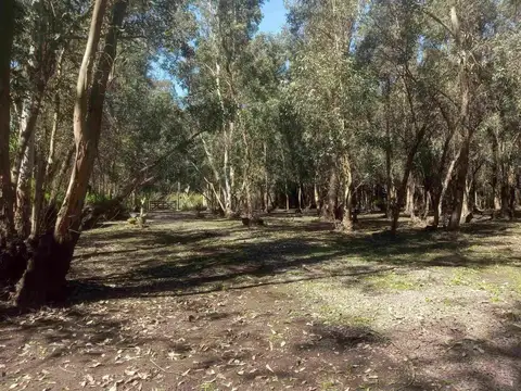 Terreno en Venta de 2300,0 m2