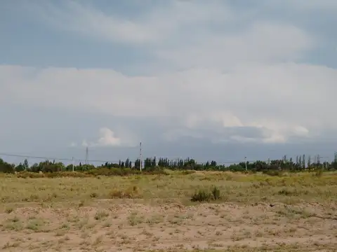 Ruta Provincial 61,Barriales, junin 0