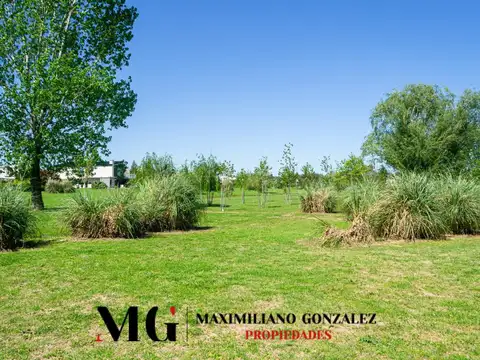 Terreno en Venta 31  mts Fondo